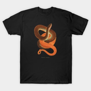 Auburn sunset snake T-Shirt